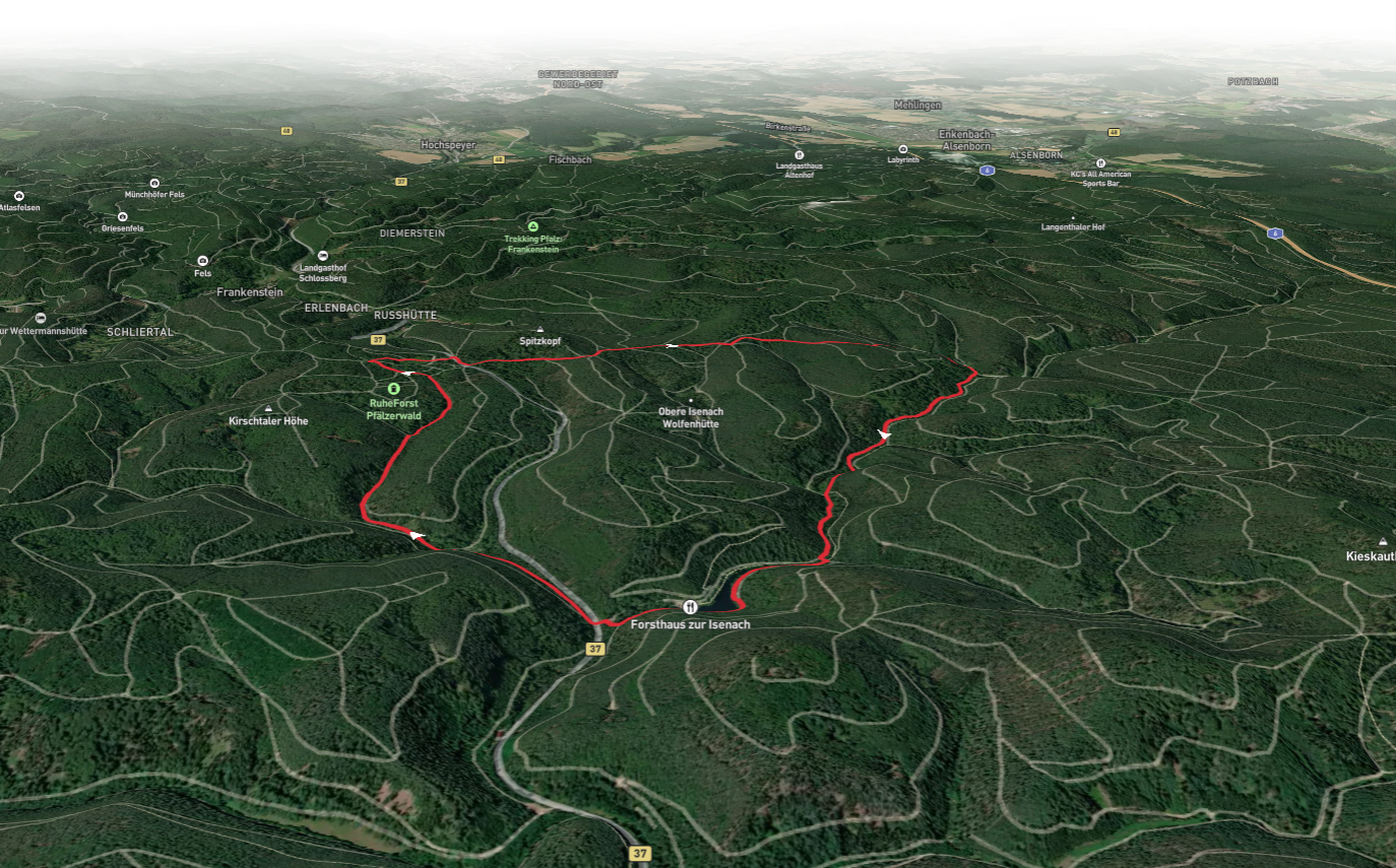 RuheForst Pfälzerwald and Isenachweiher Loop via Saar Pfalz Weg