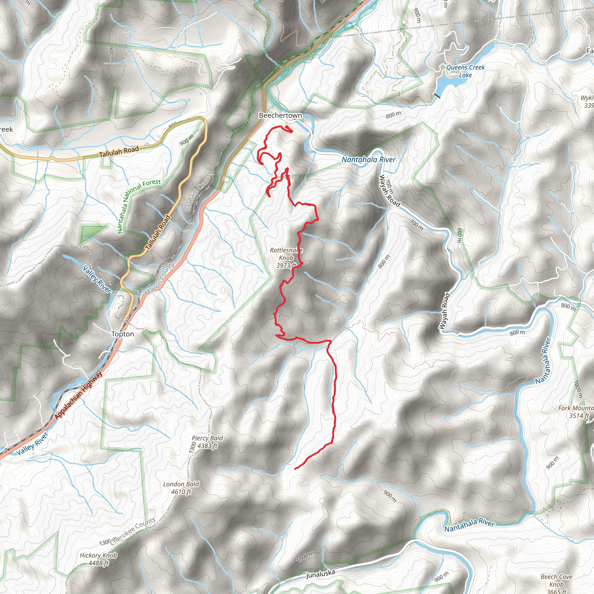 Laurel Branch Trail via Bartram Trail mobile static map