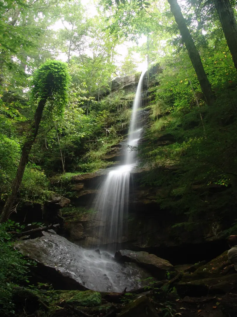An image depicting the trail Alpha Pass Trail and its surrounding area.