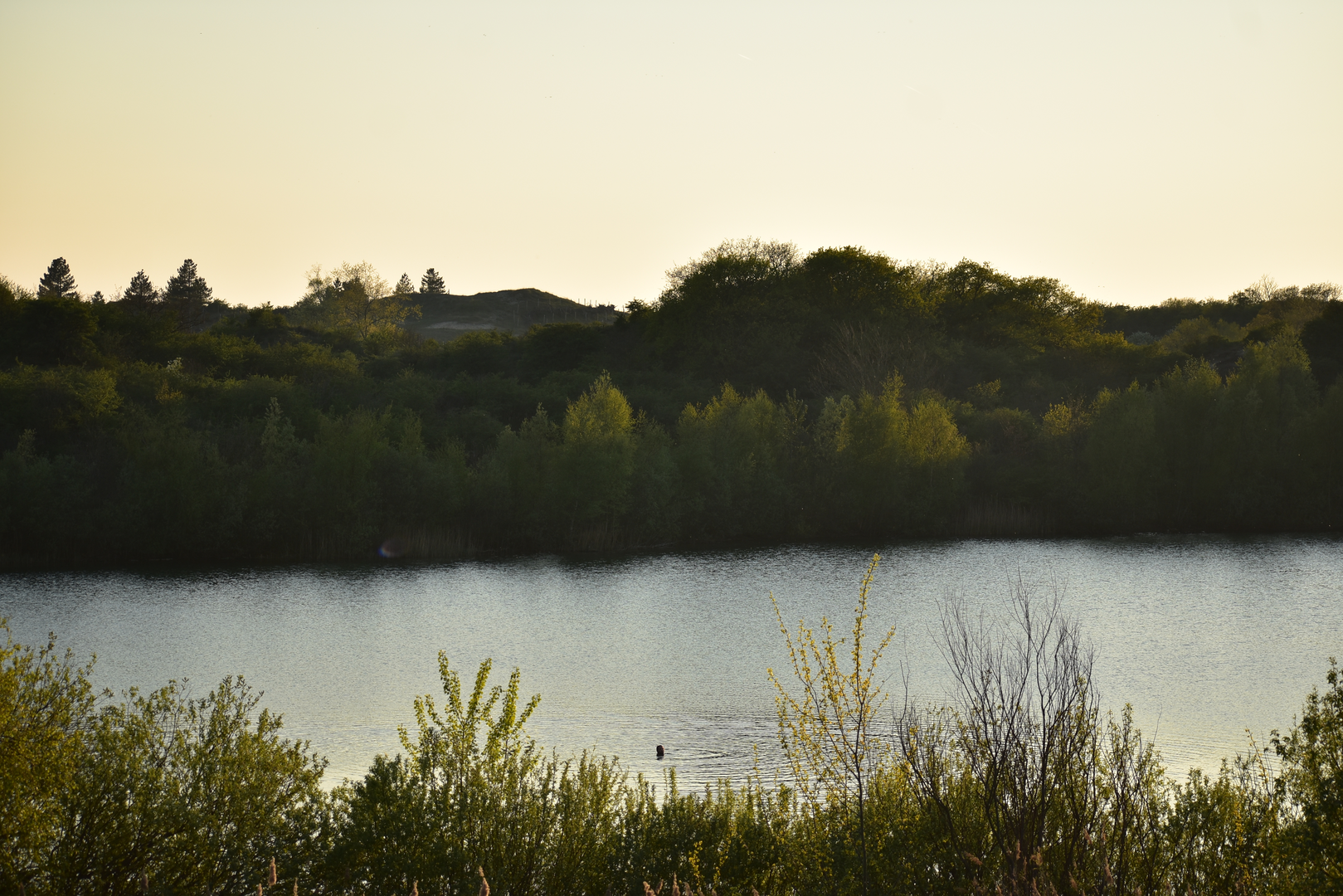 An image depicting the trail Oosterplas, t Wed and Bloemendaal aan Zee via Konings Weg and its surrounding area.