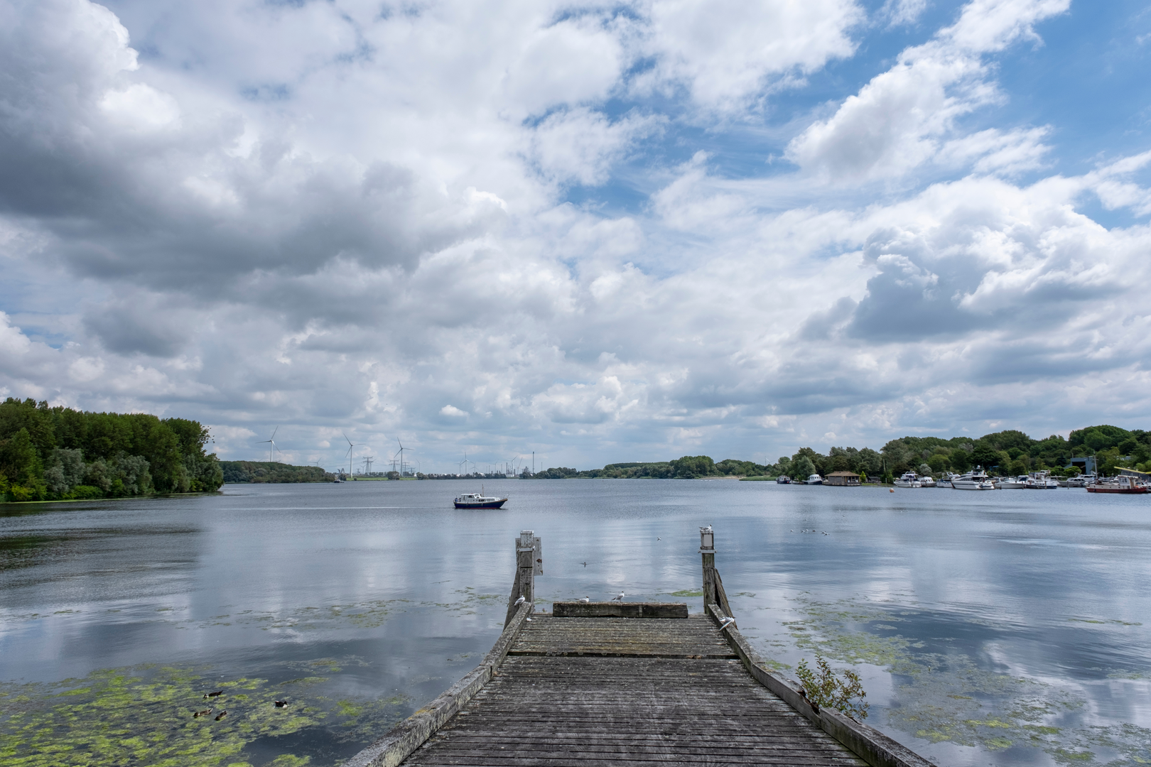 An image depicting the trail Maassluis to Oostvoorne via Volgerweg and Brielse Gatdam and its surrounding area.