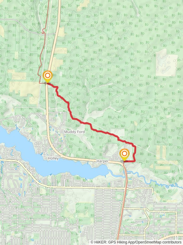 Nelda Road and Florida Trail