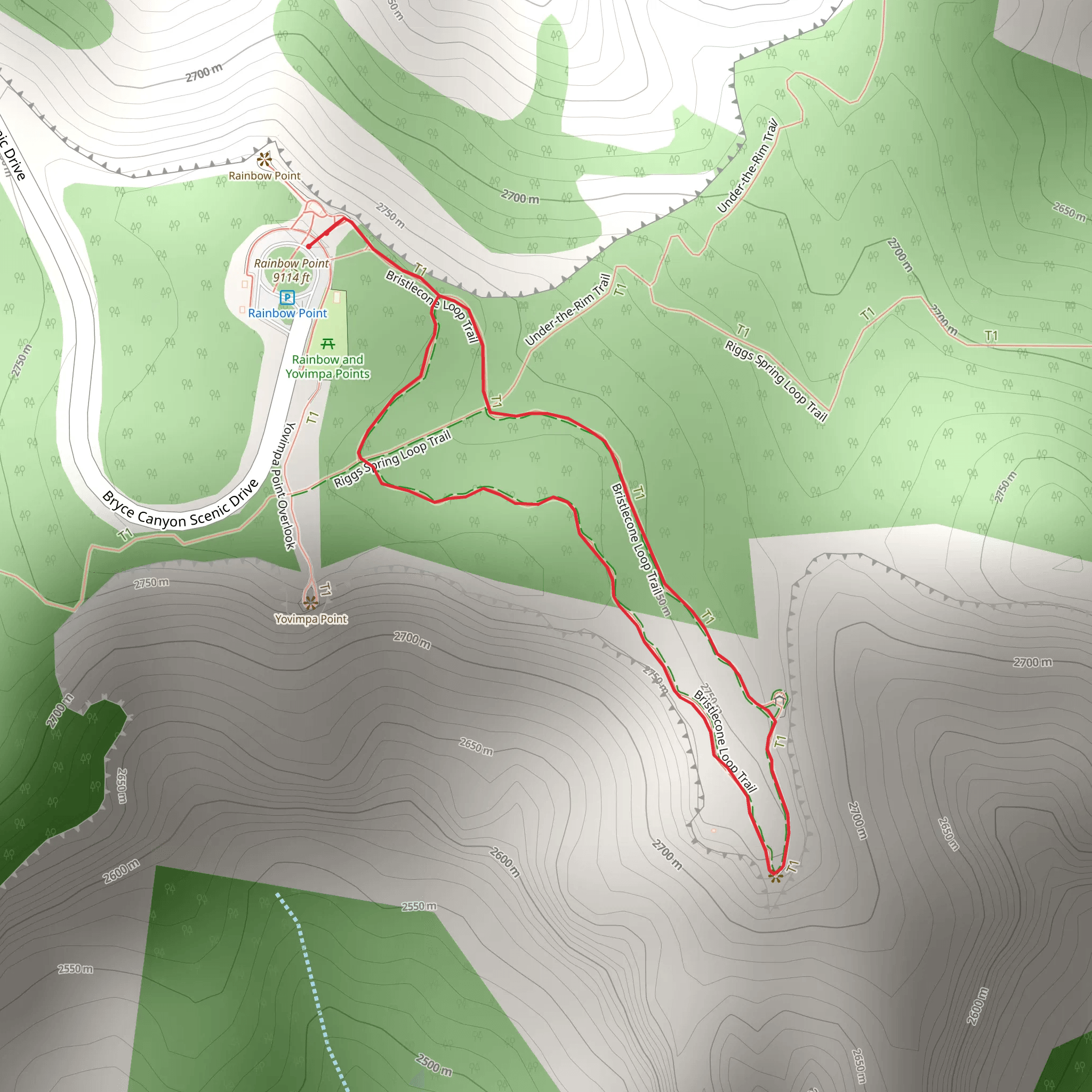 Bristlecone Loop Trail mobile static map