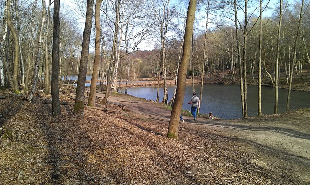Paices Wood Ponds Loop