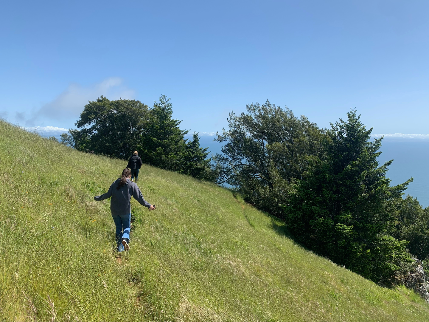 An image depicting the trail Fern Creek, Mount Tamalpais East Peak, Mount Tamalpais West Point and Bootjack Loop Trail and its surrounding area.