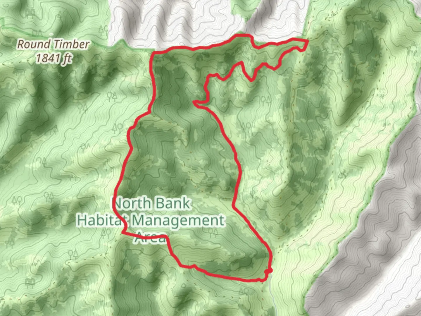 An image depicting the trail Soggy Bottoms Road and Middle Ridge Loop Trail and its surrounding area.