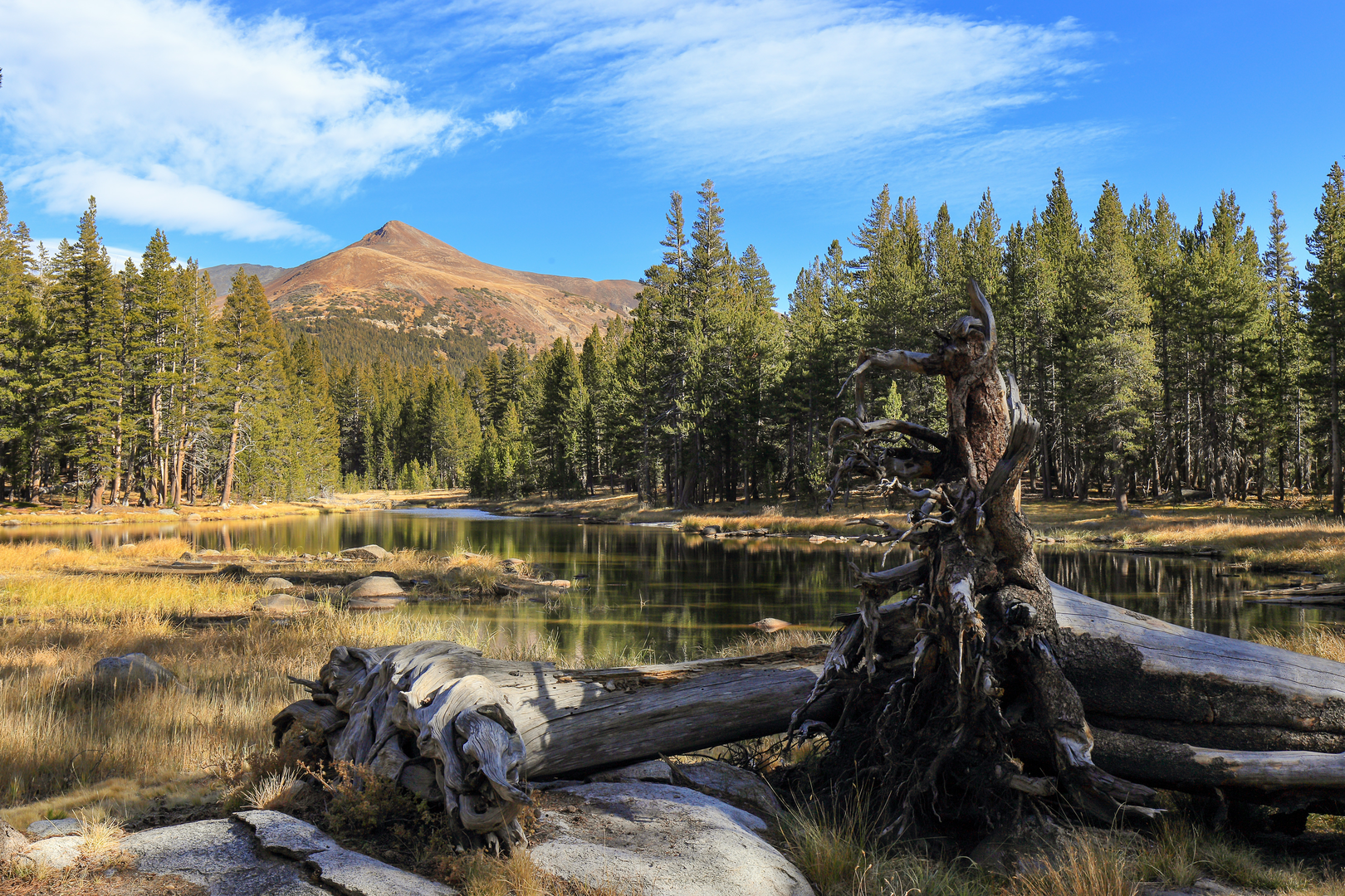 An image depicting the trail Dana Lake Trail from Tioga Lake and its surrounding area.