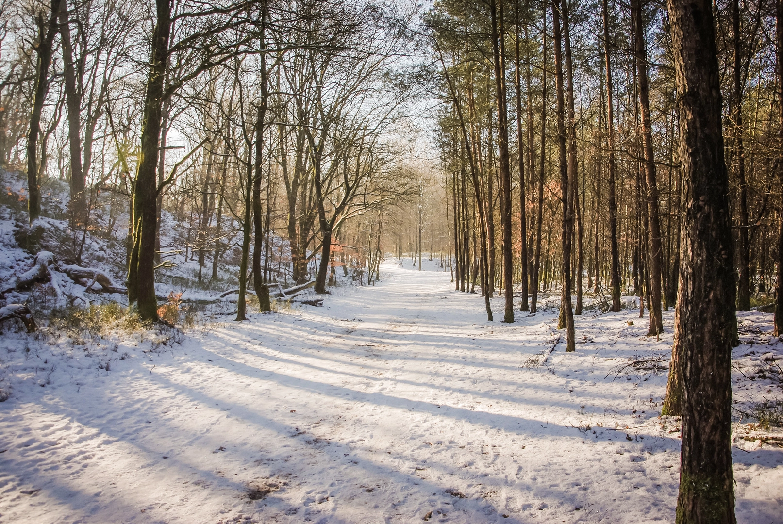 An image depicting the trail Het Keizand, Loenermark and Heidensklep Loop and its surrounding area.
