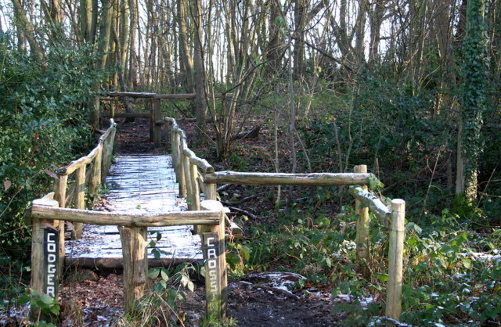 An image depicting the trail West Wood and Little Haven Nature Reserve Loop - Thundersley and its surrounding area.