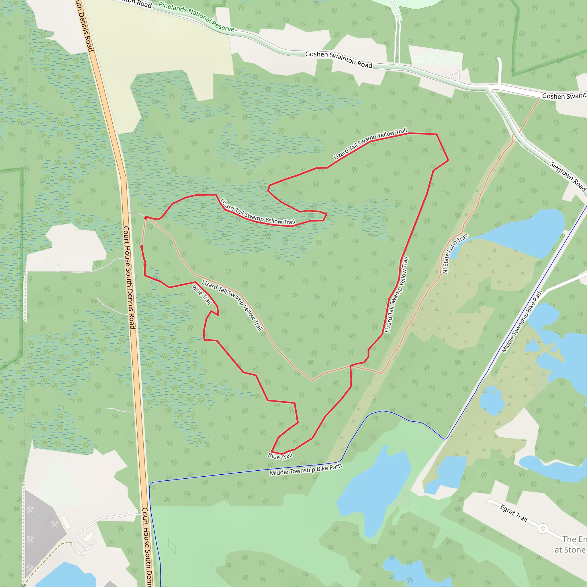 NJ State Long Trail, Lizard Tail Swamp Yellow Trail and Blue Trail Loop mobile static map
