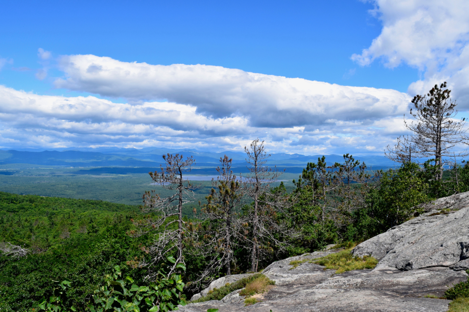 An image depicting the trail Pleasant Mountain - Moose Pond Trail and its surrounding area.