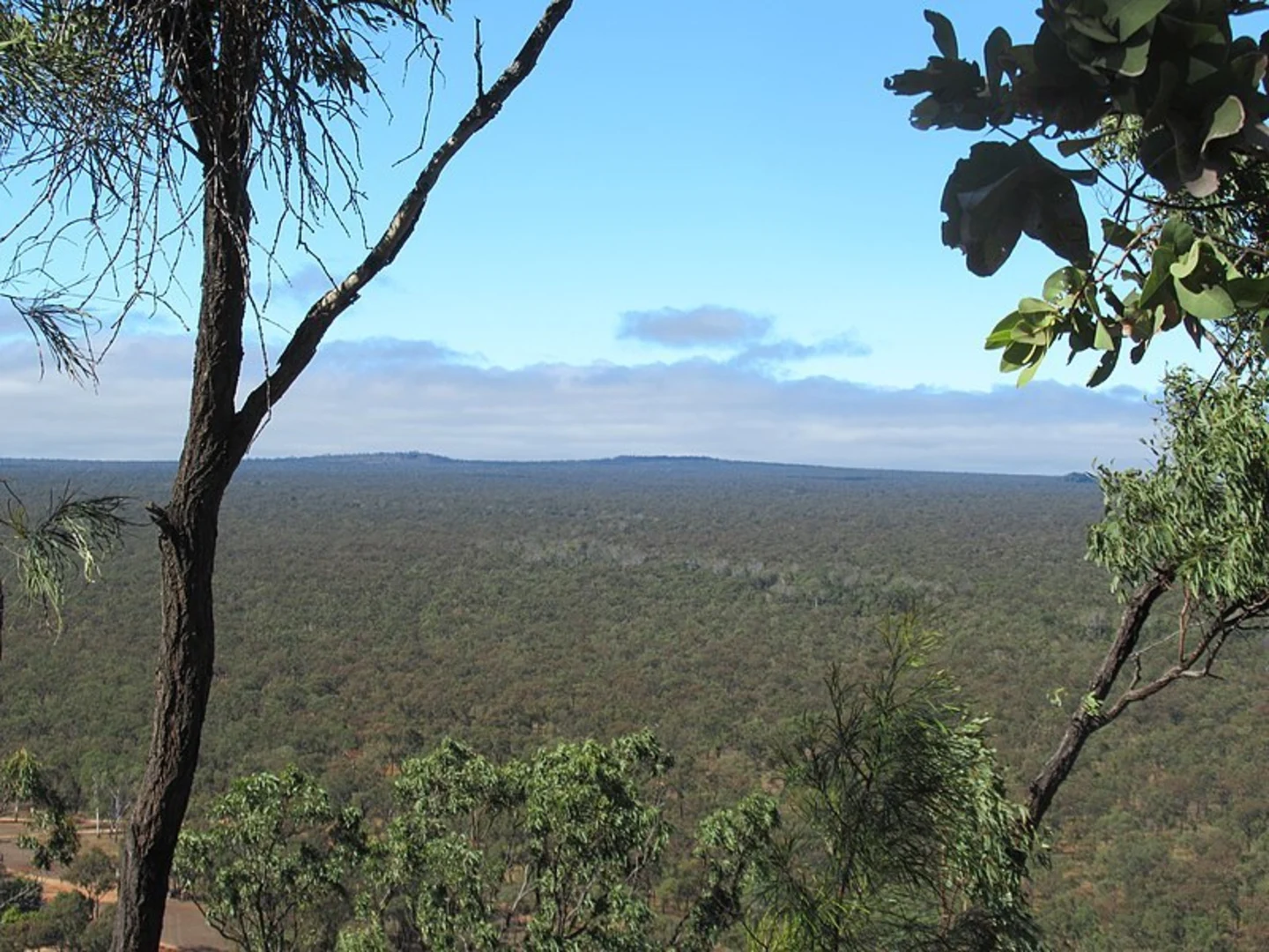 An image depicting the trail Rosella Plains Lookout Trail and its surrounding area.