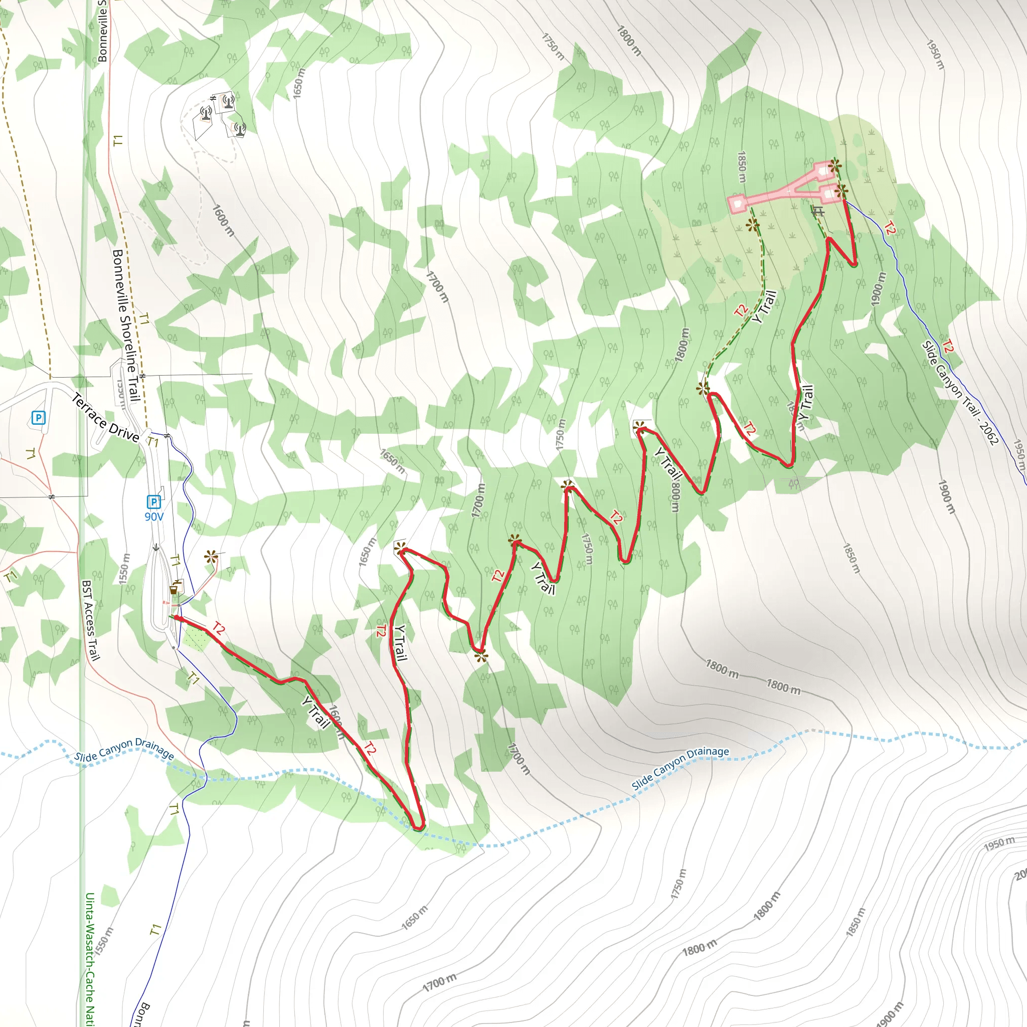 Y Trail mobile static map