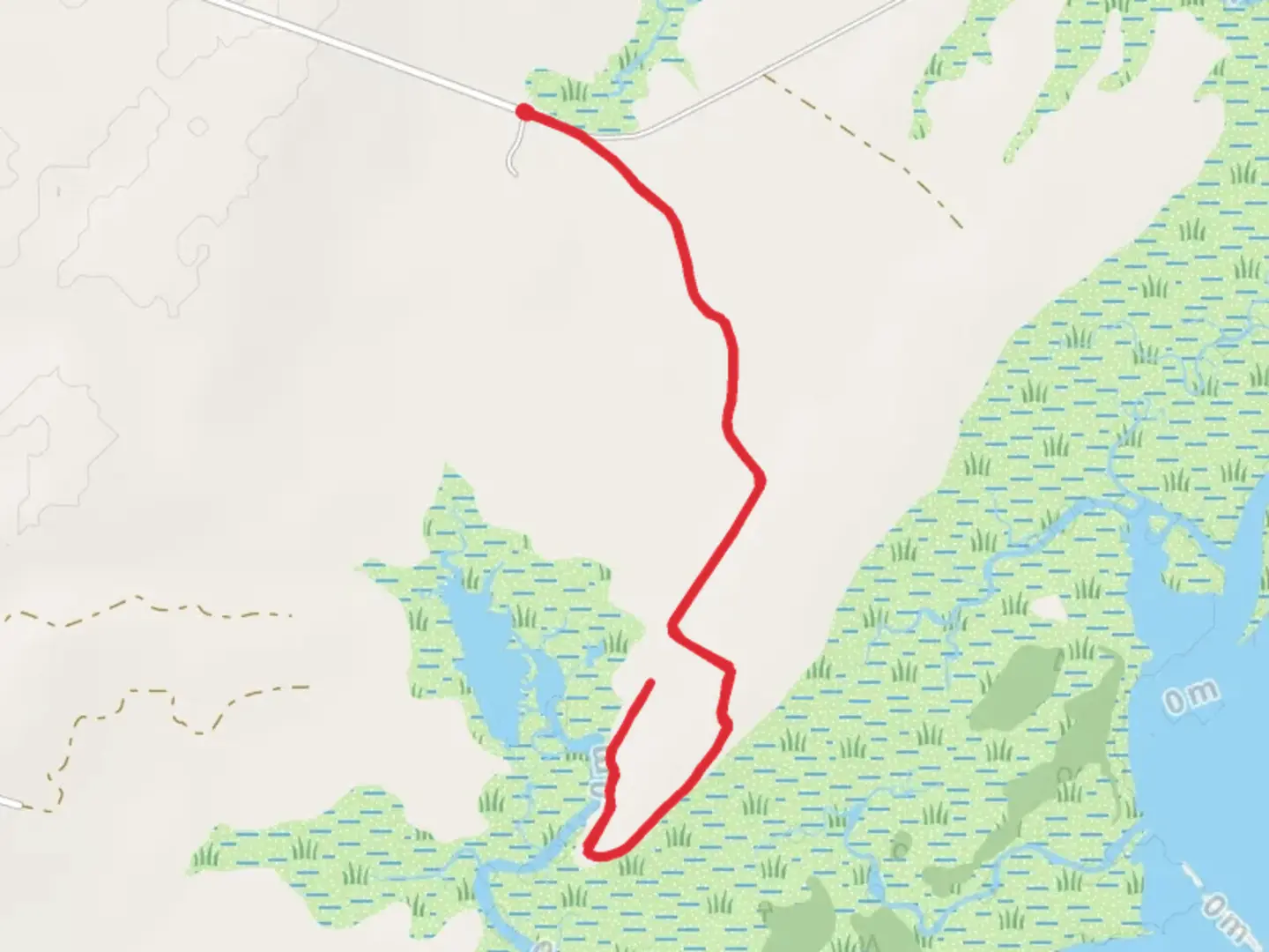 An image depicting the trail Phillips Creek from Brownsville Road and its surrounding area.