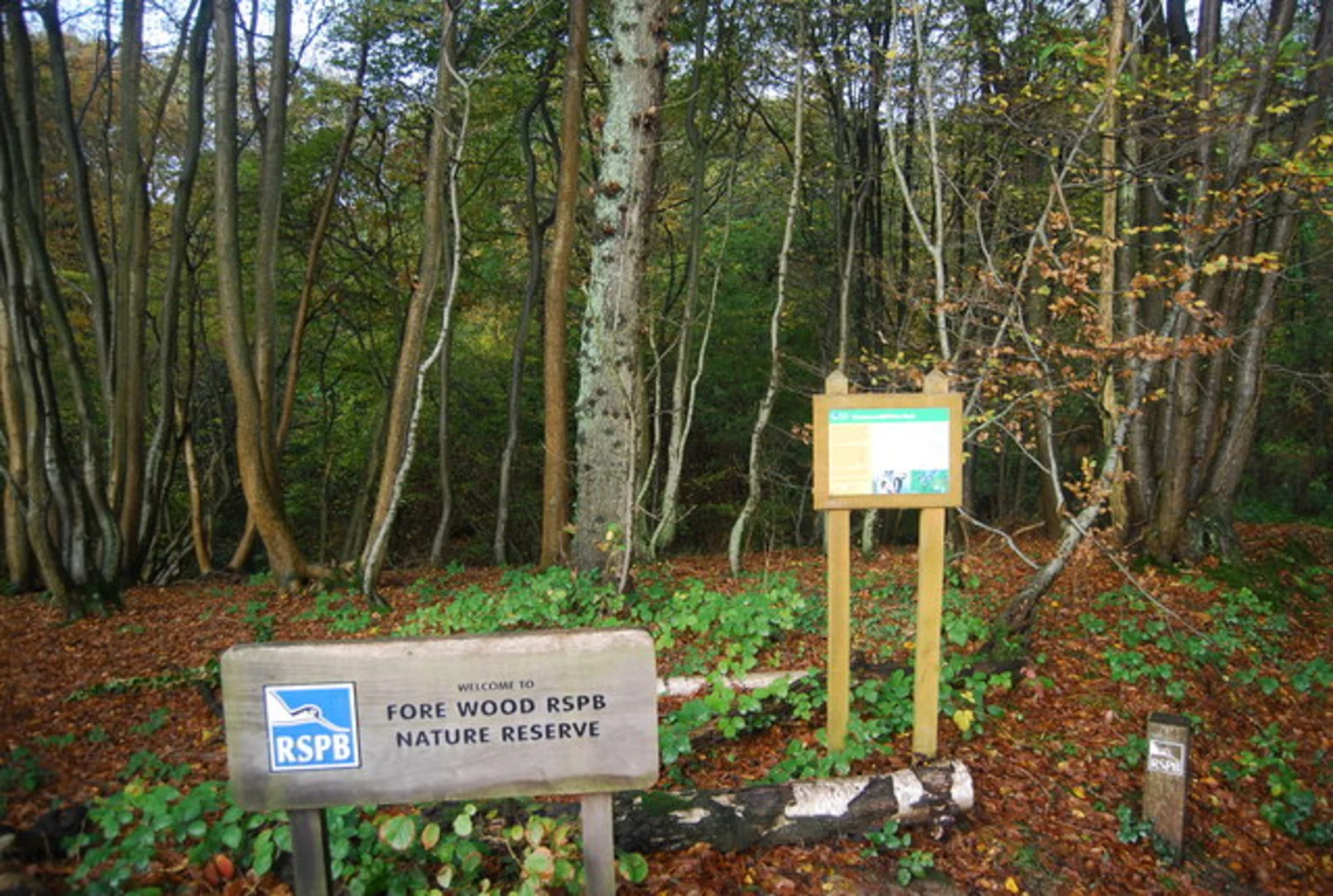 An image depicting the trail Crowhurst to Battle Station Walk and its surrounding area.
