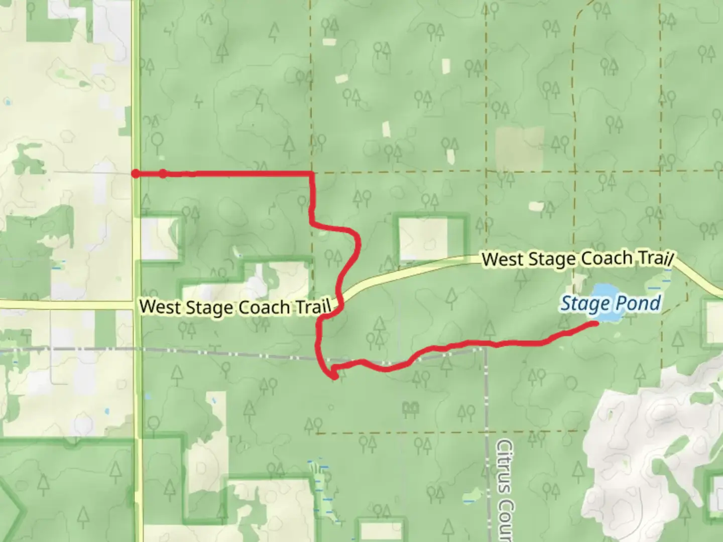 An image depicting the trail Stage Pond and Brush Sink Walk and its surrounding area.