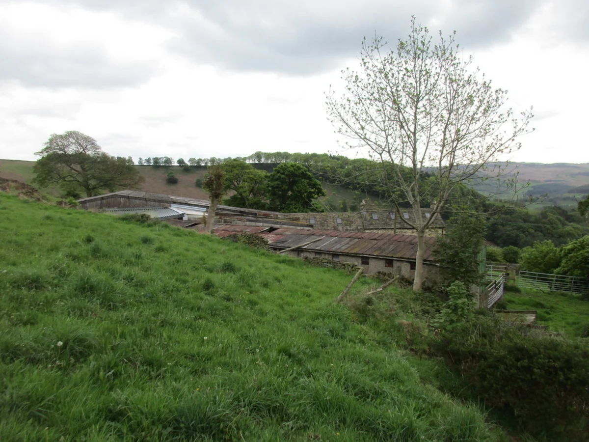 Birchin Wood and Green's Paper Mill Dam Loop