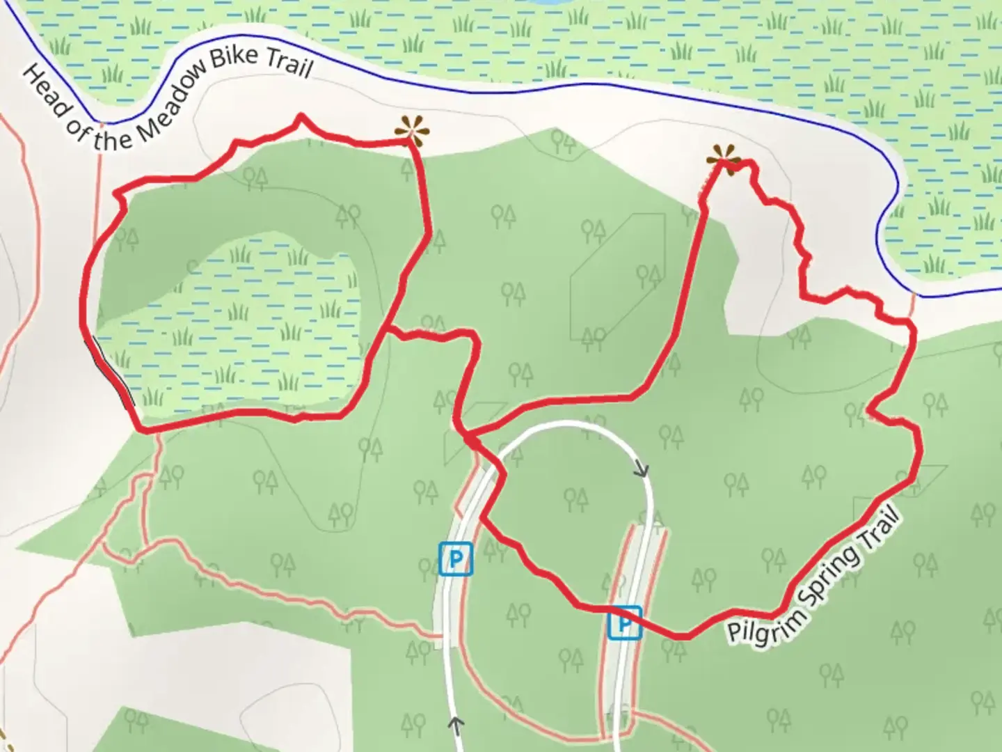 An image depicting the trail Small Swamp and Pilgrim Spring Trail Knot and its surrounding area.
