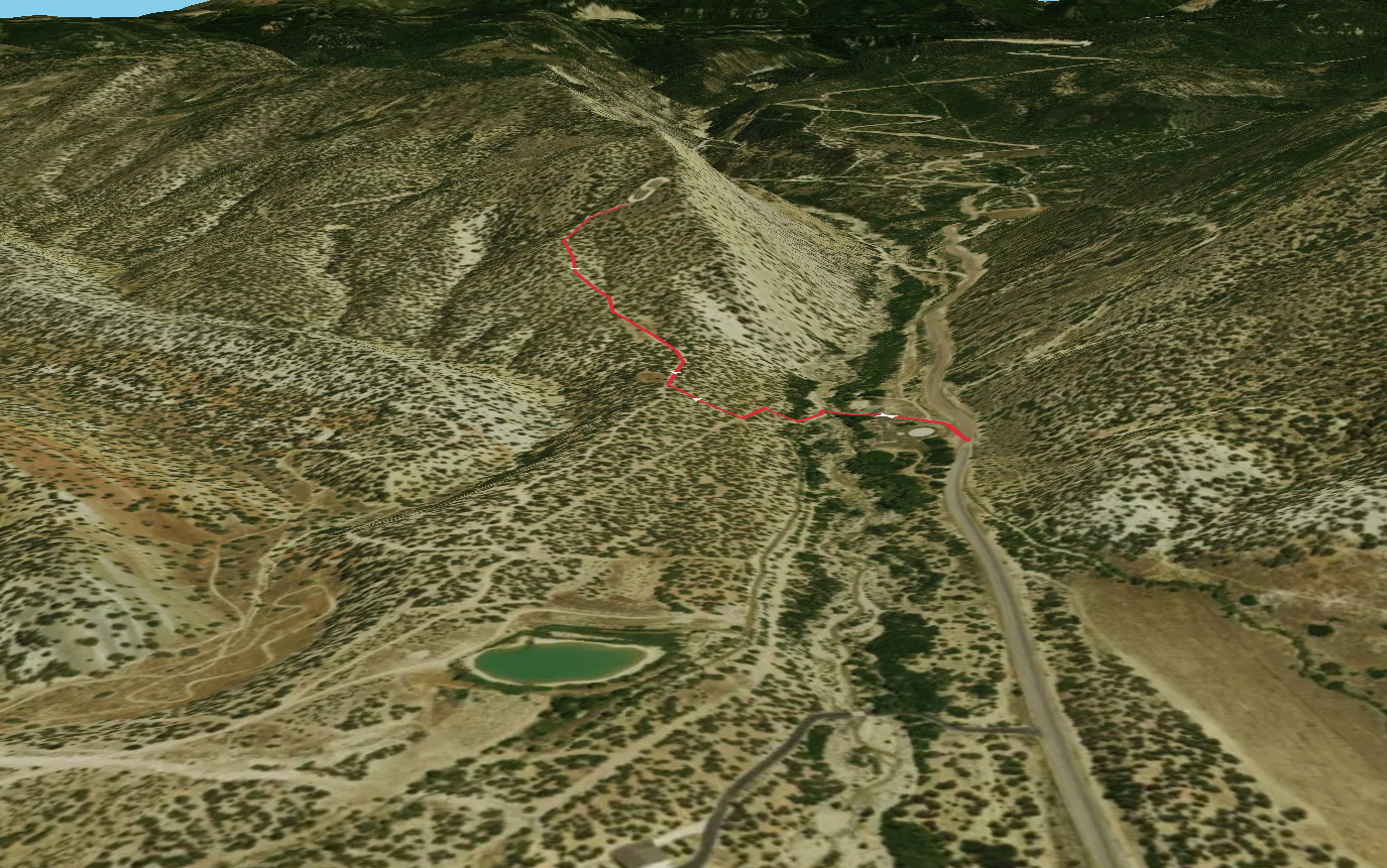 The Snow S Viewpoint