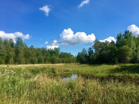 An image depicting the trail Sullivan Bay Trail and its surrounding area.