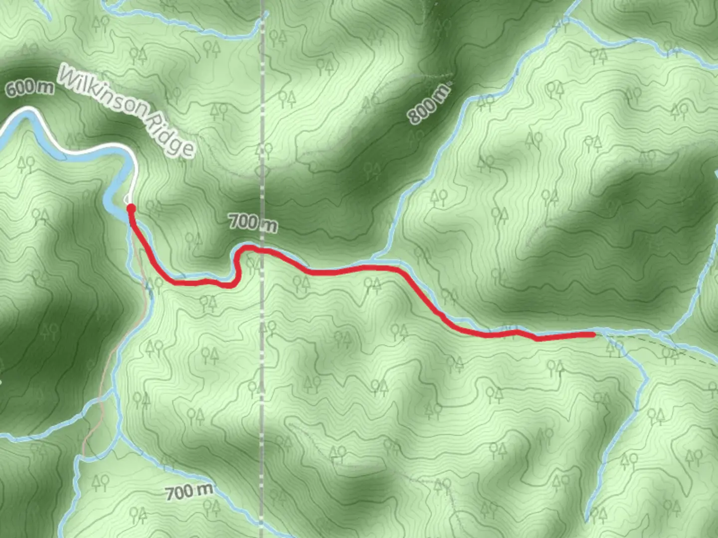 An image depicting the trail Middle Prong Trail to Lynn Camp Prong and its surrounding area.
