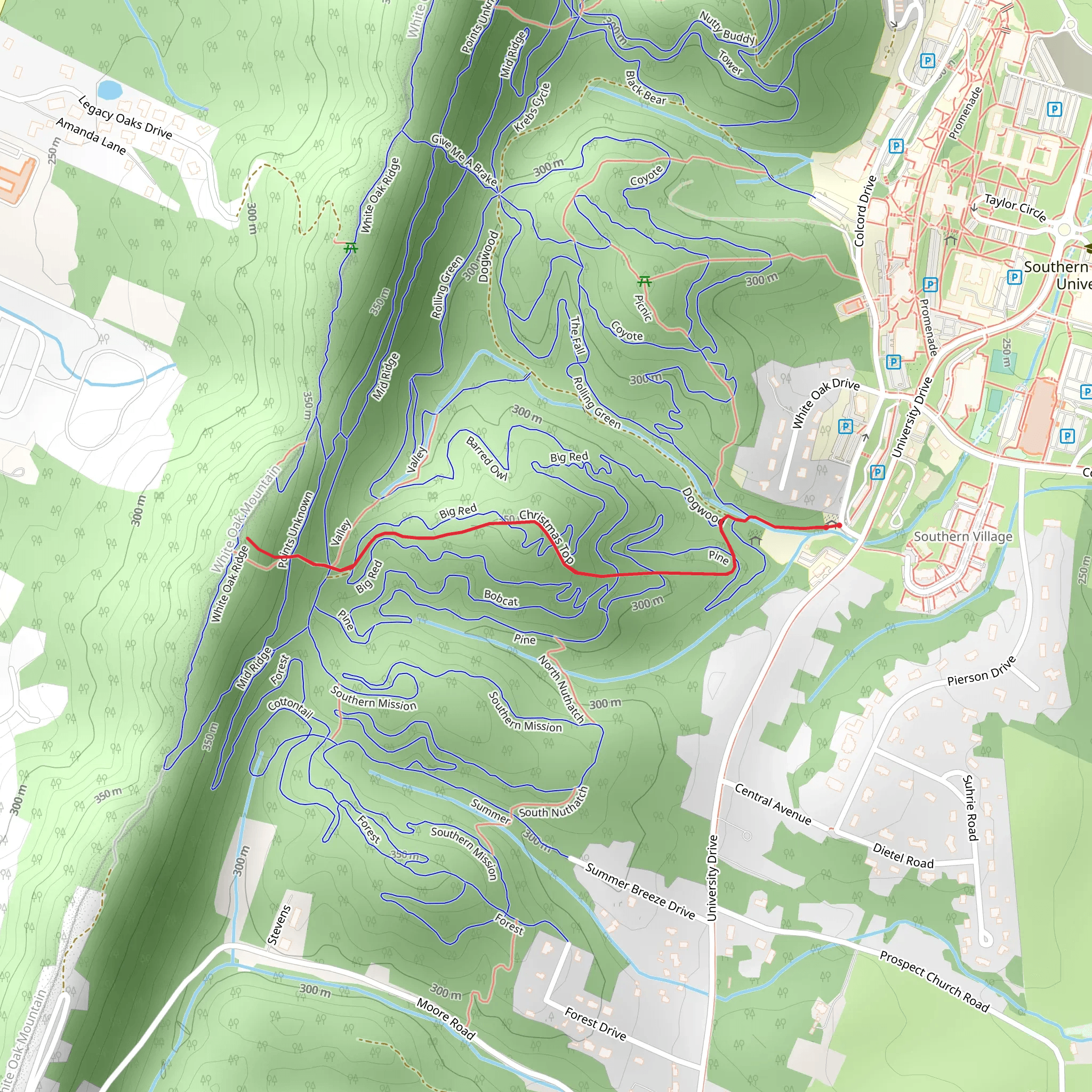 Christmas Top mobile static map