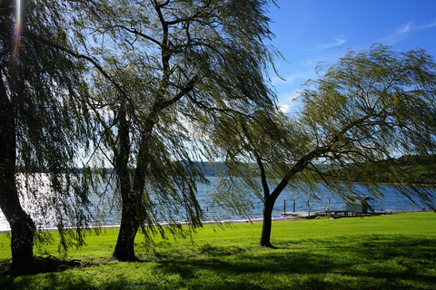 Camperdown to Timboon Rail Trail