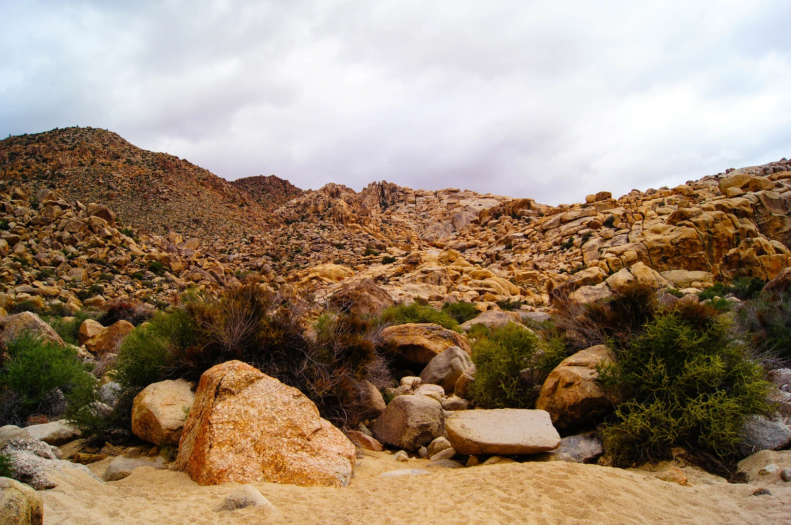 An image depicting the trail Rattlesnake Canyon and its surrounding area.