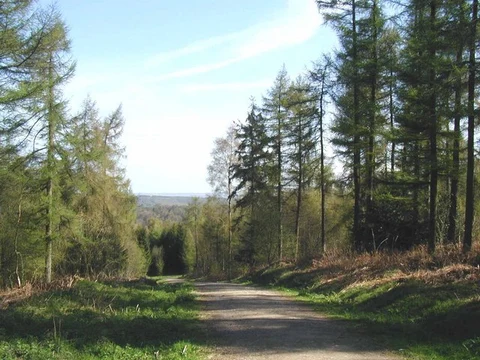 An image depicting the trail Yearsley Woods Loop from Ampleforth and its surrounding area.