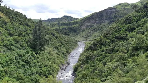 Mid Pohangina Hut Track