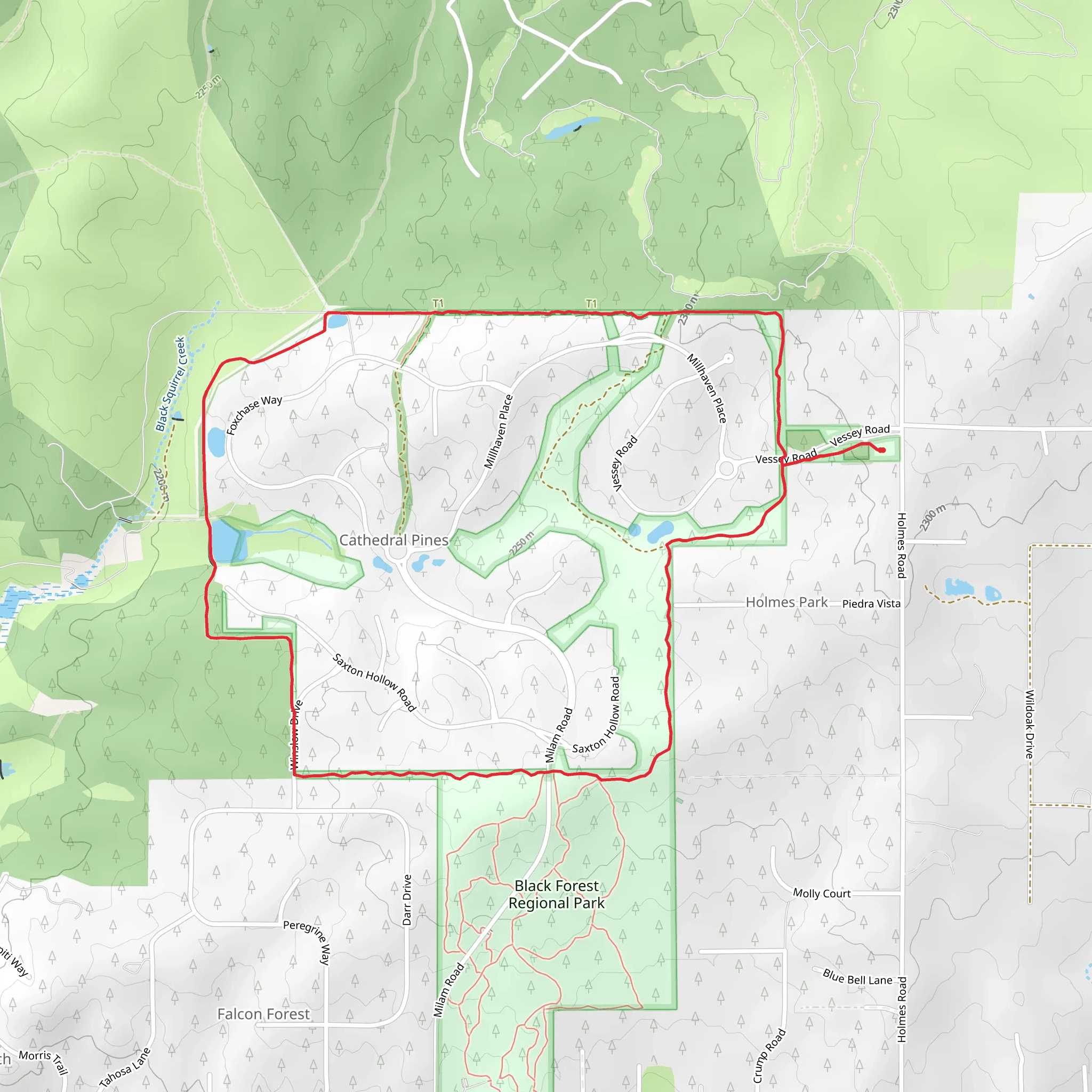 Big Forest Regional Park Loop mobile static map