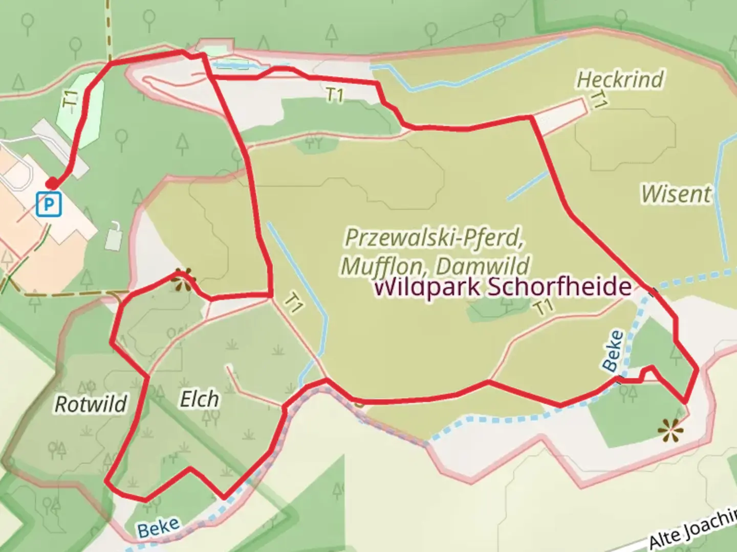 An image depicting the trail Kletterwald Schorfheide and Wildschwein Loop and its surrounding area.