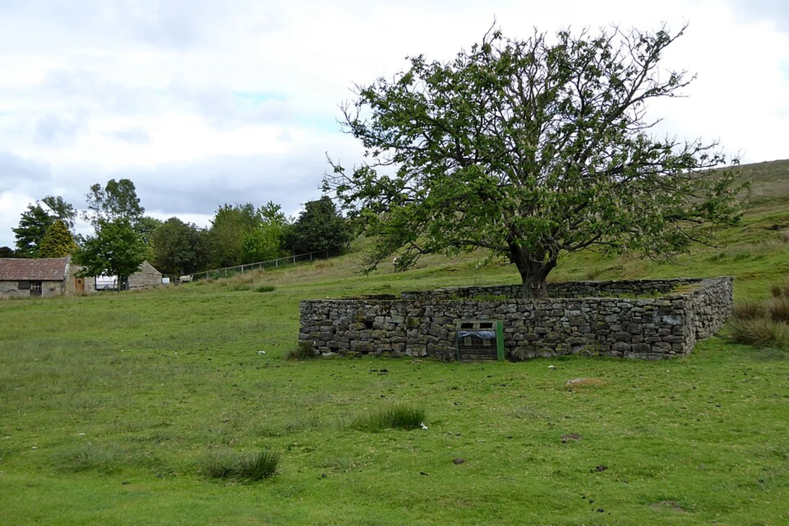 An image depicting the trail Helmsley to Carlton Loop and its surrounding area.