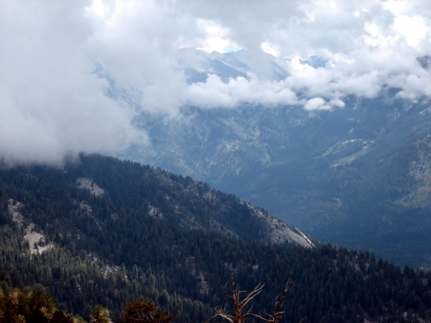 An image depicting the trail Marvin Pass Out and Back and its surrounding area.