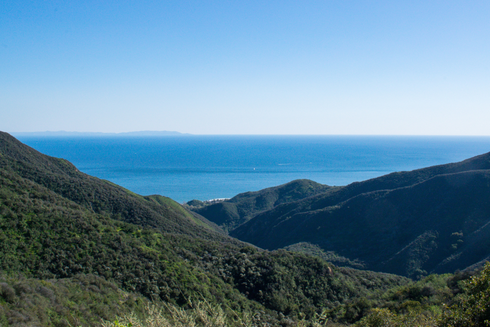 An image depicting the trail Parker Mesa Overlook Trail and its surrounding area.