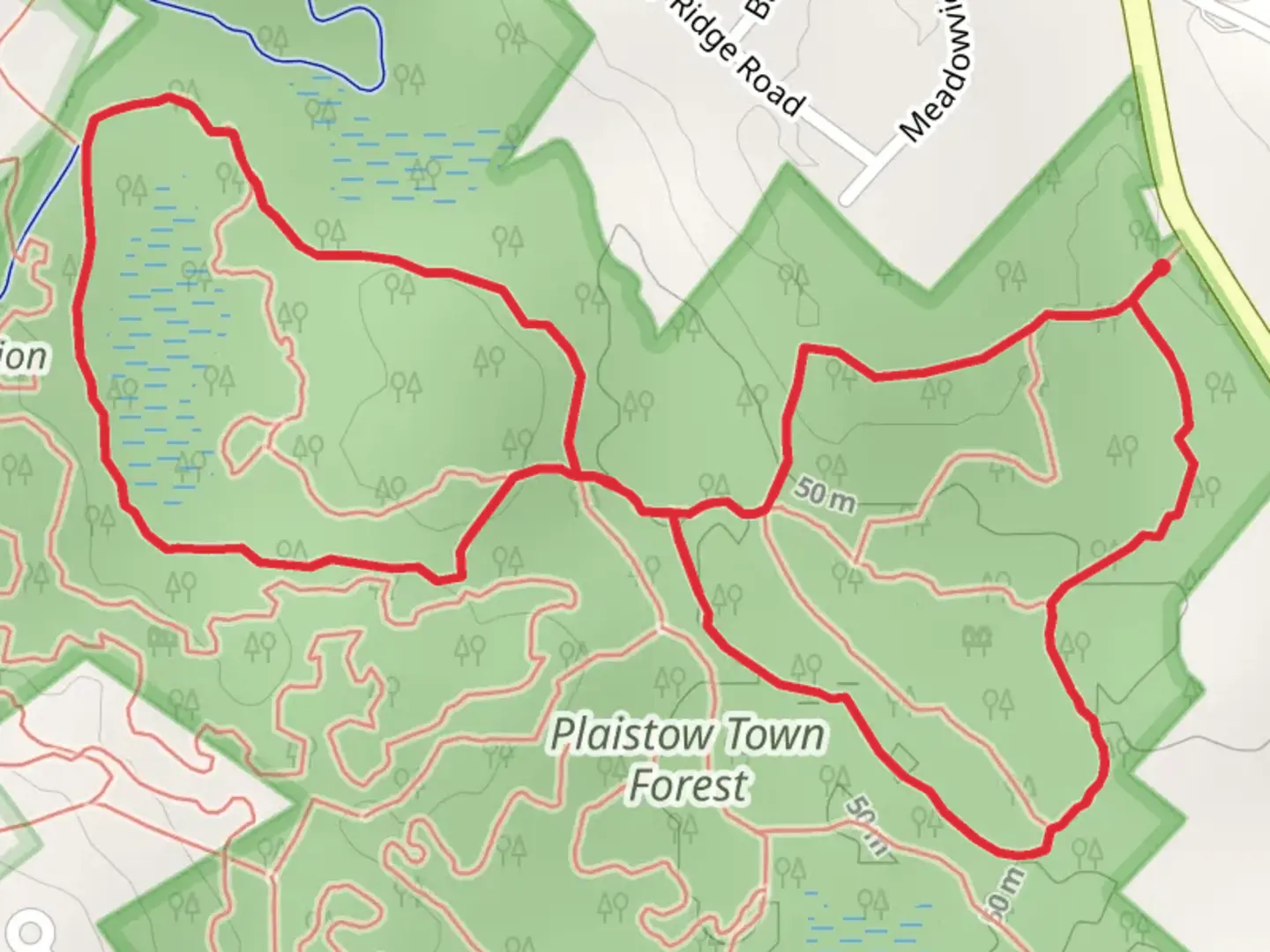 An image depicting the trail Plaistow Town Forest Loop and its surrounding area.