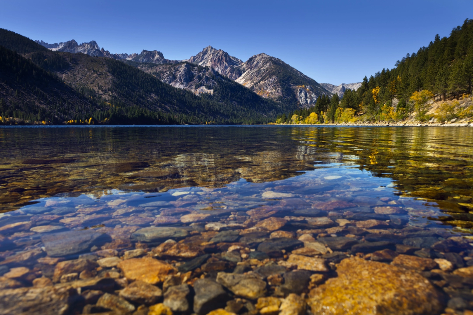 An image depicting the trail Cattle Creek Trail and its surrounding area.