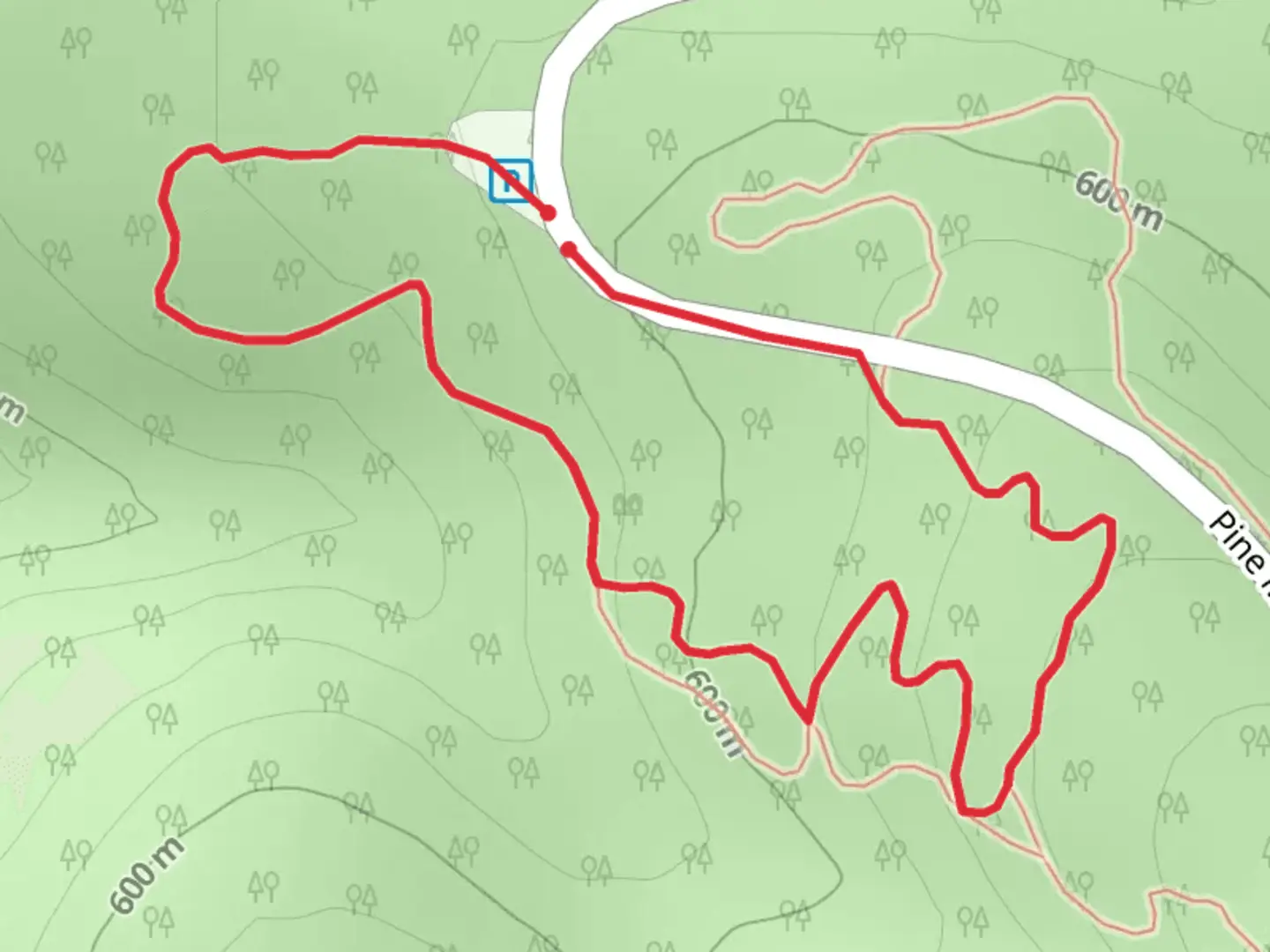 An image depicting the trail Pine Mont Drive Loop and its surrounding area.