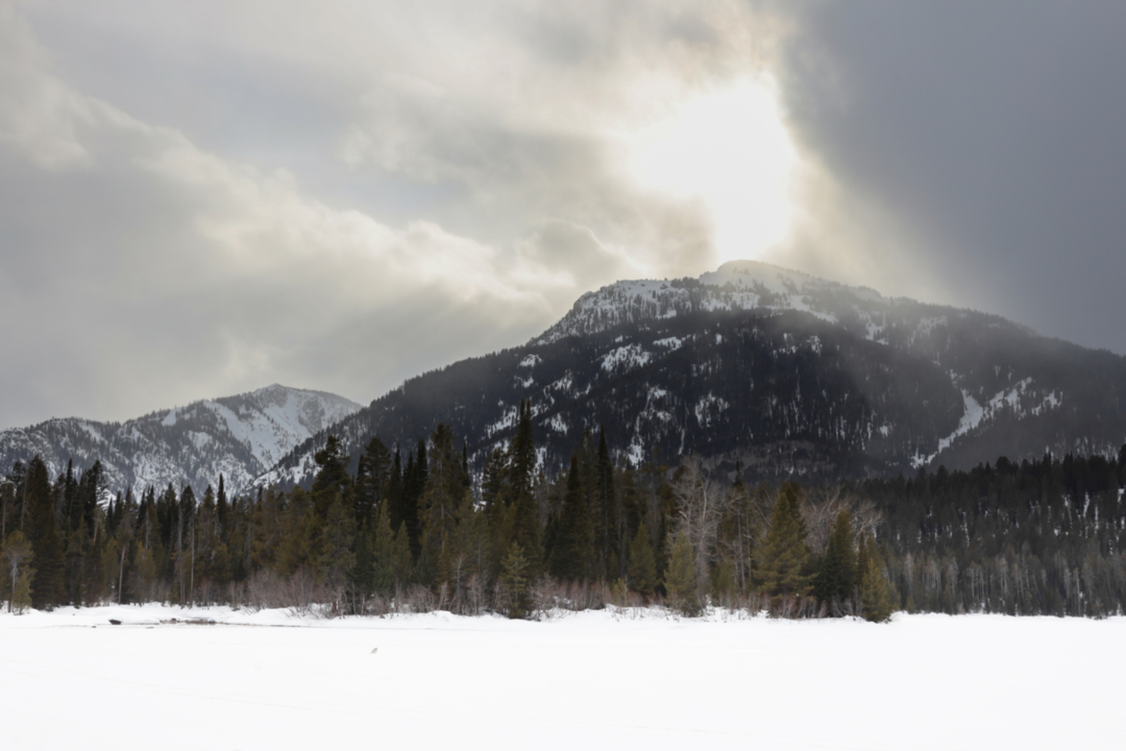 An image depicting the trail Open Canyon Trail to Marion Lake and its surrounding area.
