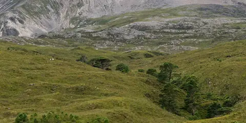 An image depicting the trail Sgurr nan Fhir Duibhe from Kinlochewe and its surrounding area.
