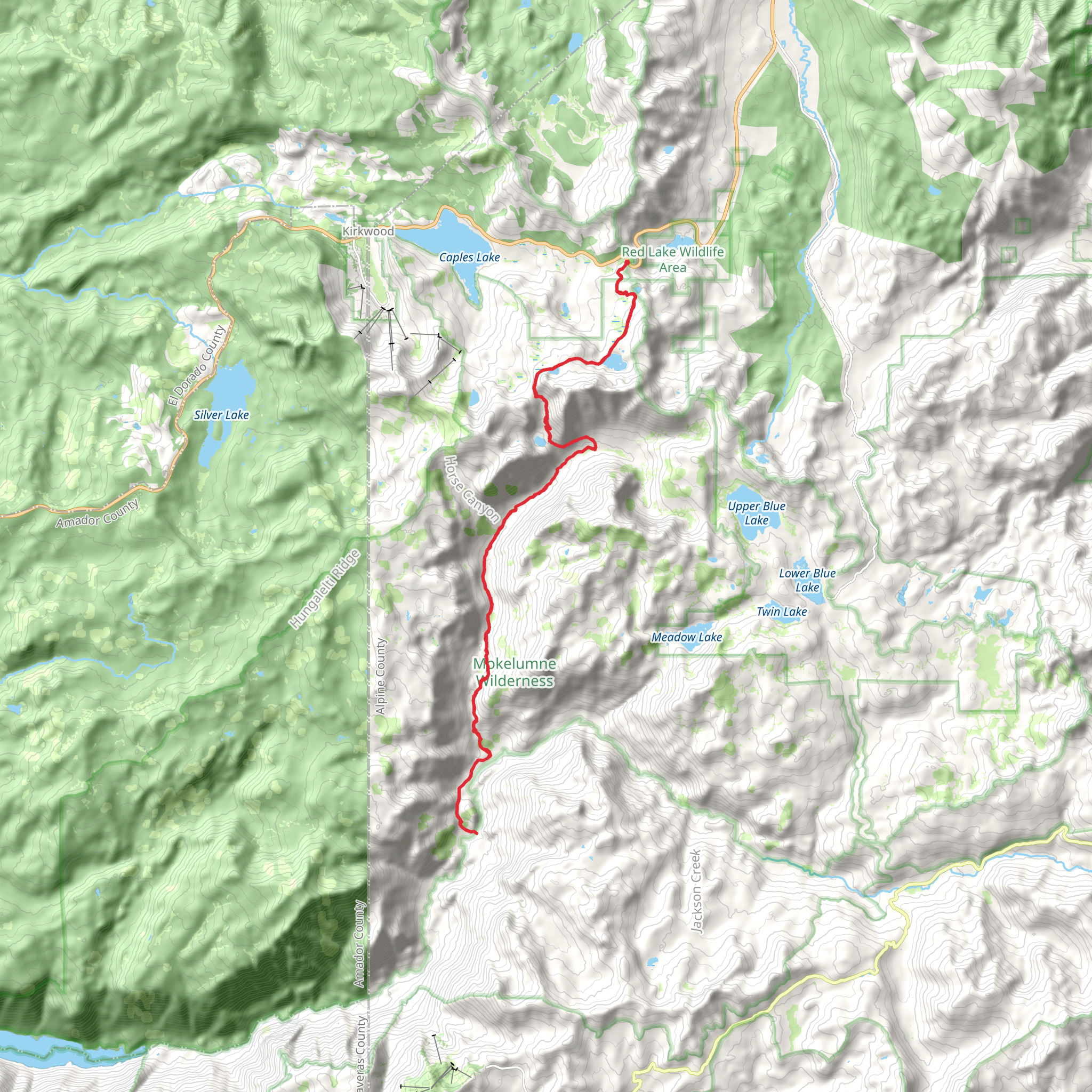 Camp Irene Trail mobile static map