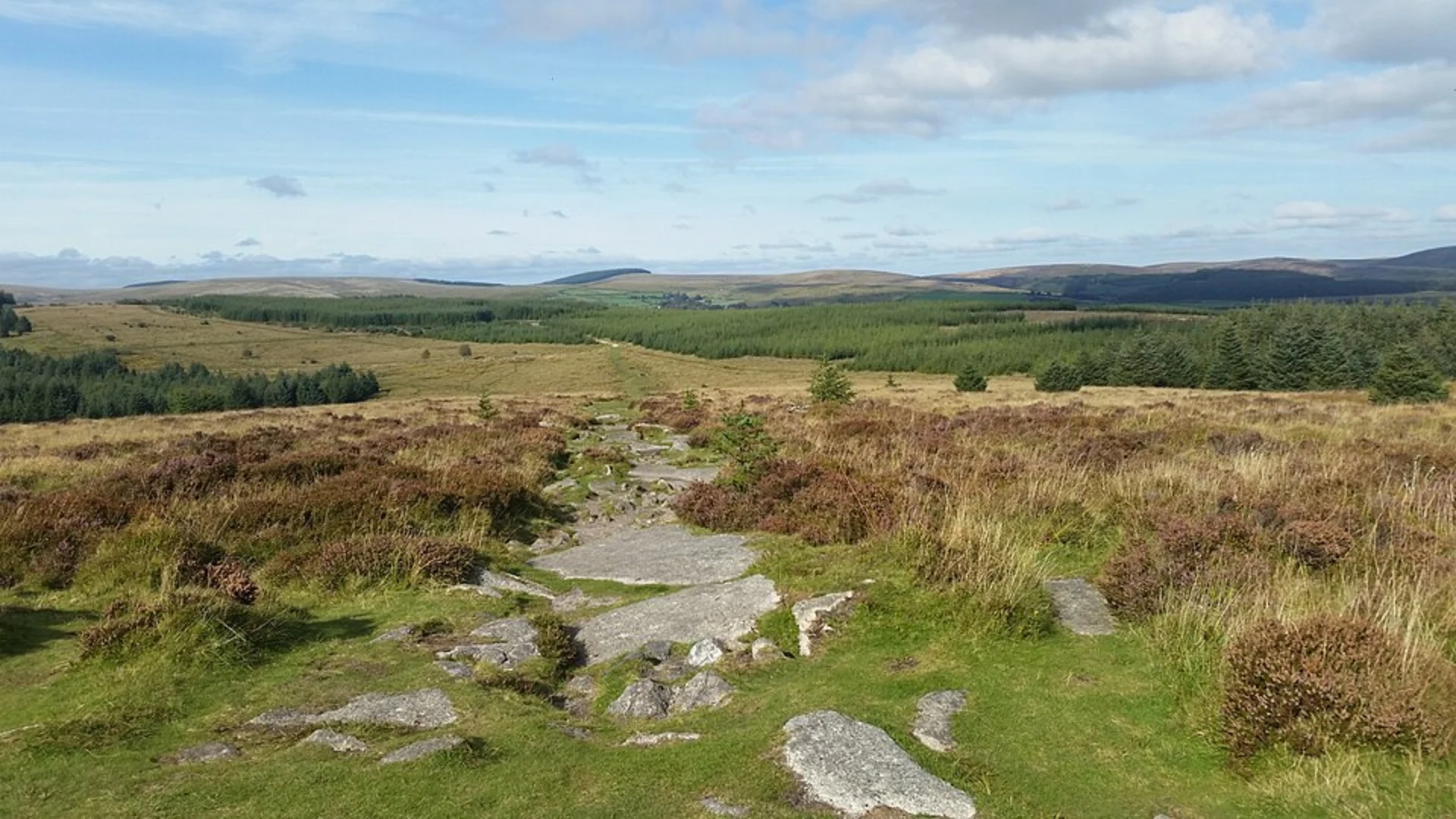 An image depicting the trail Bellever Tor and Kraps Ring Loop and its surrounding area.