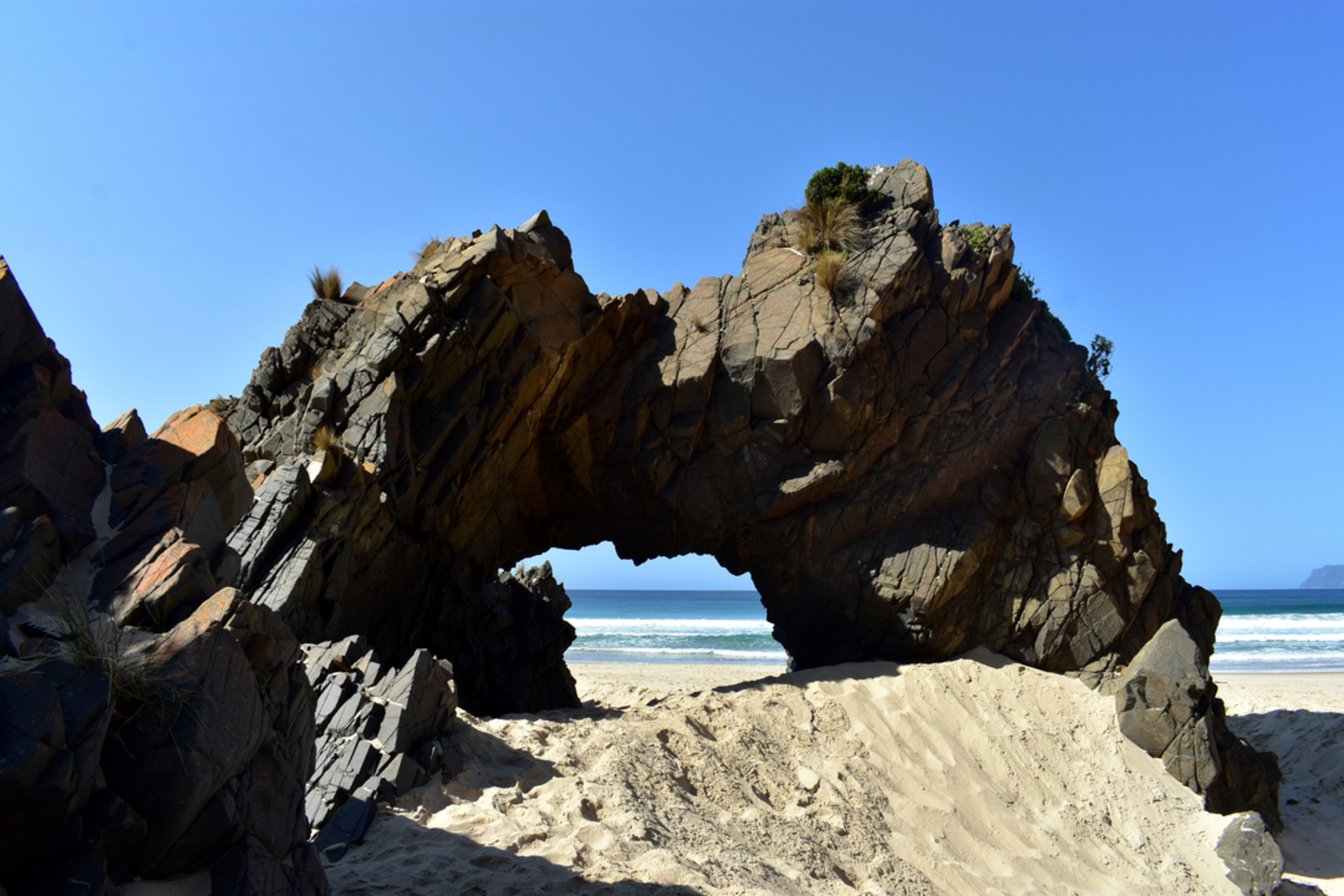 An image depicting the trail Cape Queen Elizabeth Track and its surrounding area.