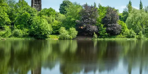 An image depicting the trail Mersey Valley Timberland Trail and its surrounding area.