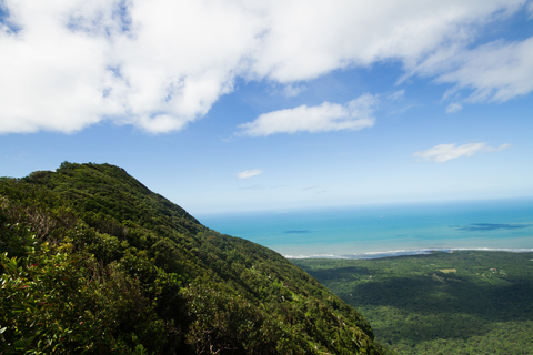 An image depicting the trail Mount Sorrow Ridge Walk and its surrounding area.