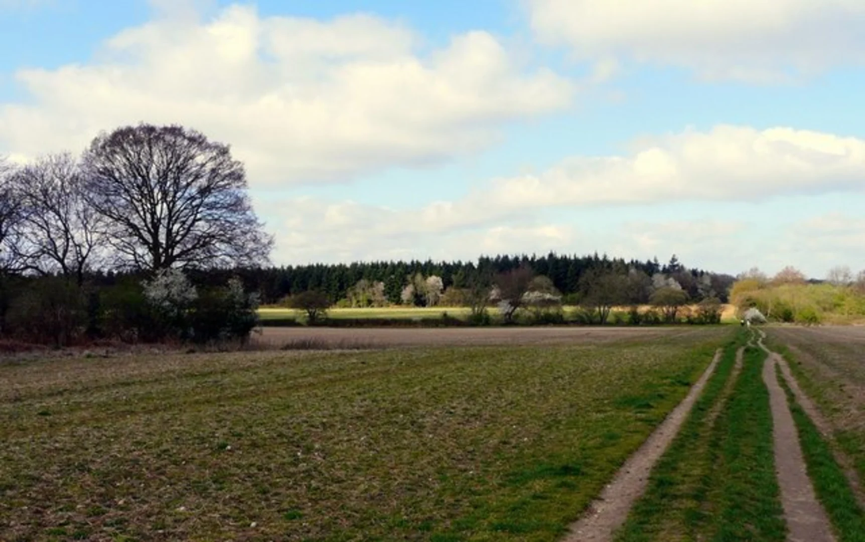 An image depicting the trail Mosshall Wood and Sulham Wood Loop and its surrounding area.