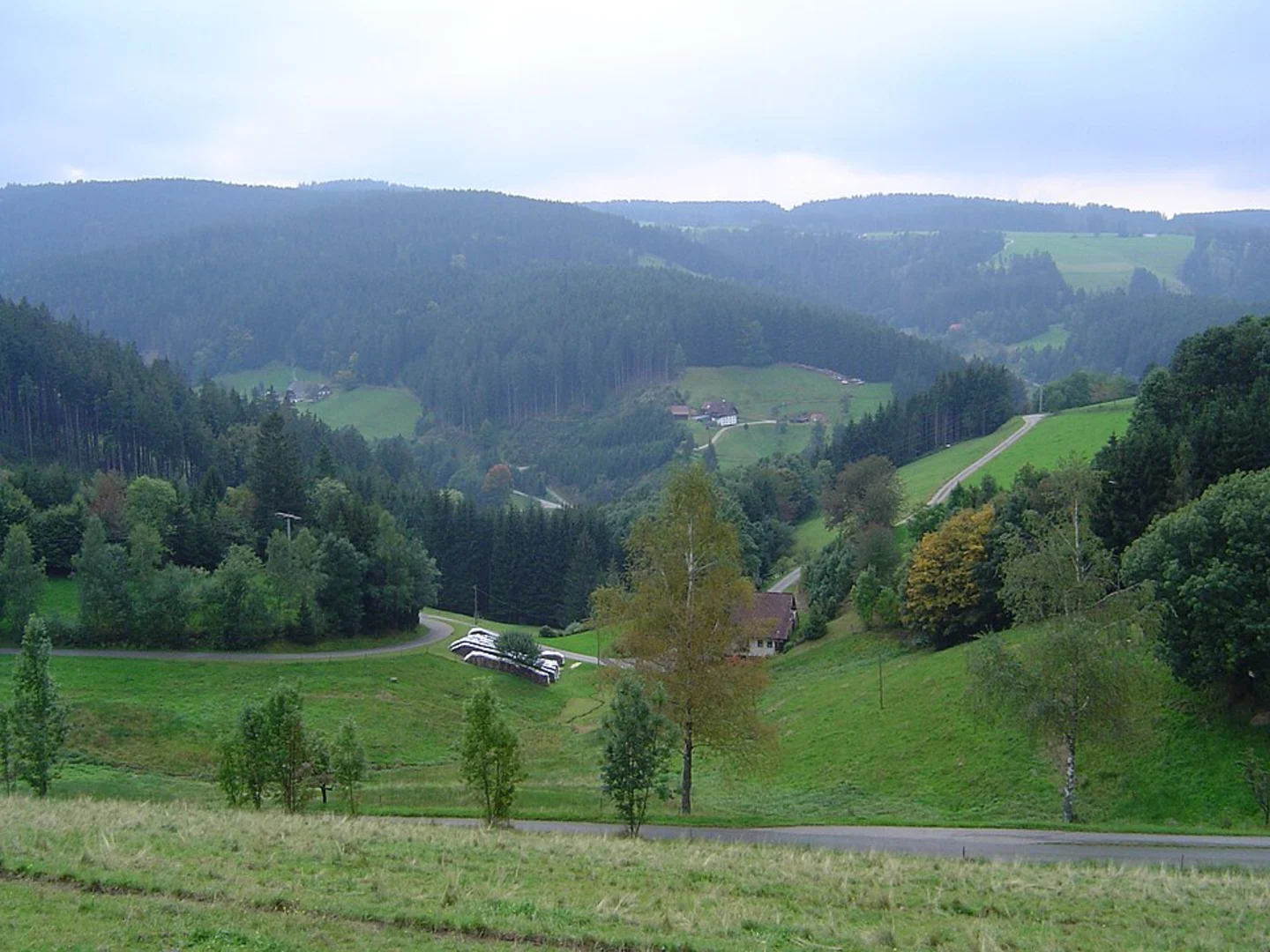 An image depicting the trail Burgsolms to Burg Philip Stein Walk and its surrounding area.