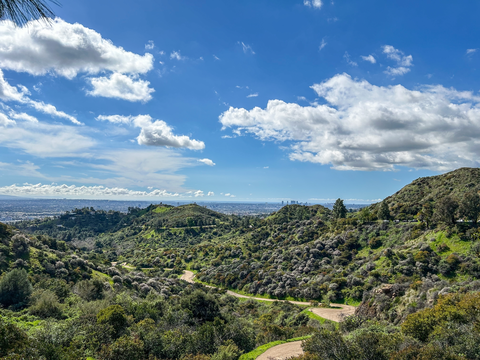 West Trail, Berlin Forest and Mount Hollywood Loop