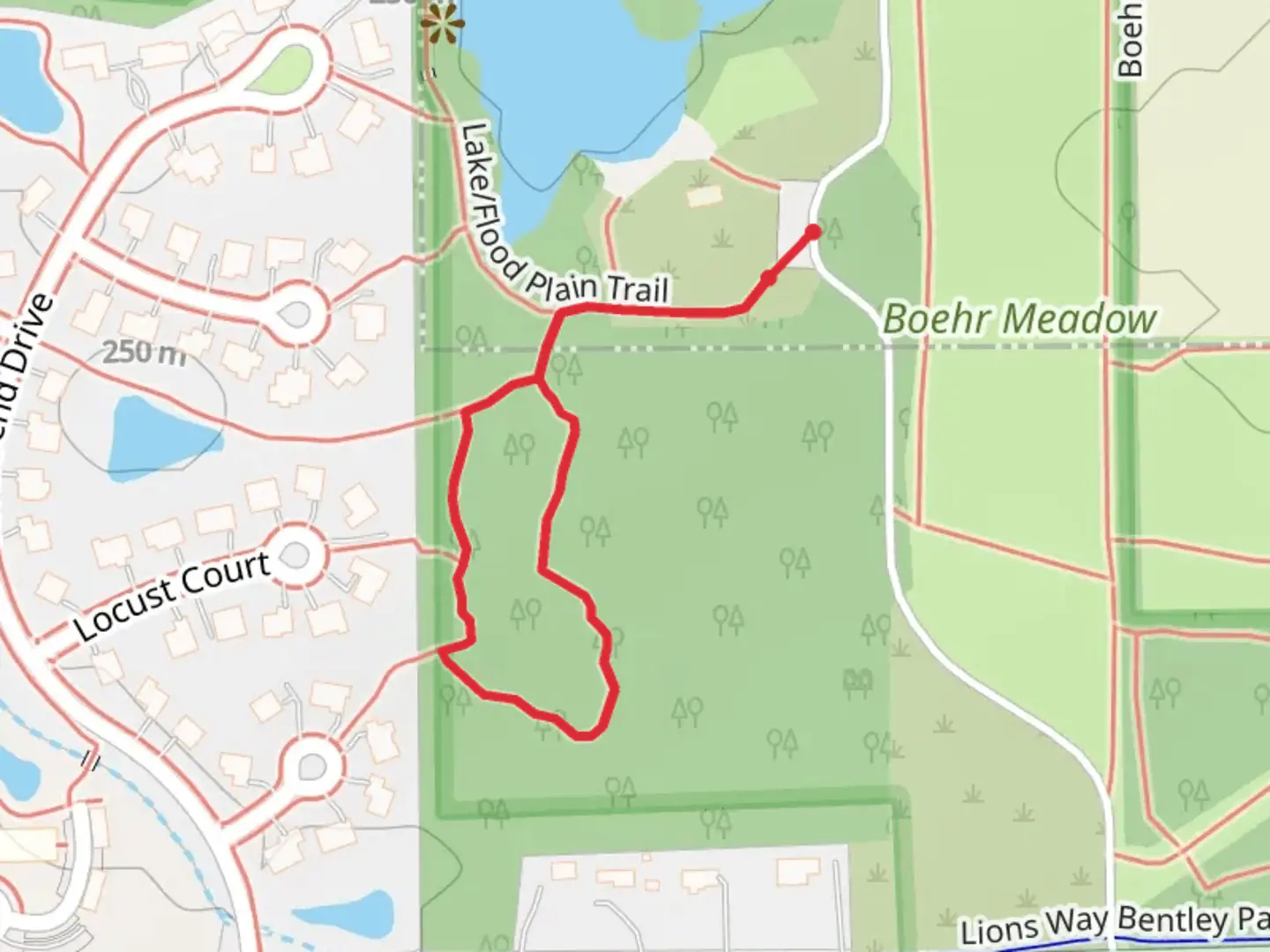 An image depicting the trail South Woods Loop and its surrounding area.