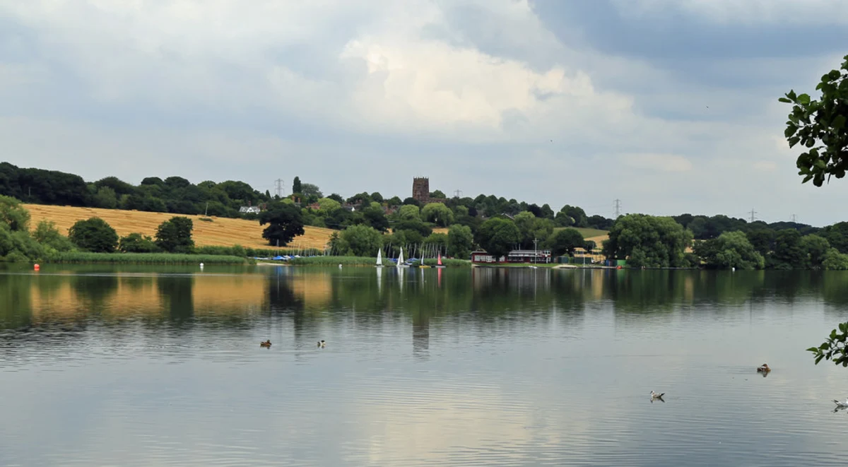 Marbury Country Park and Arboretum Loop